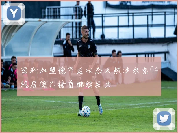 哲科加盟德甲后状态火热沙尔克04稳居德乙榜首继续发力