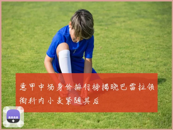 意甲中场身价排行榜揭晓巴雷拉领衔科内小麦紧随其后